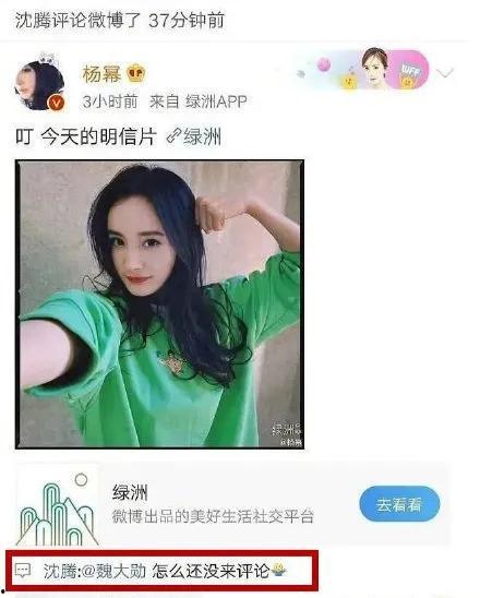 小程序娱乐圈吃瓜人