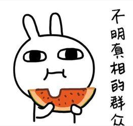 幽默吃娱乐圈瓜文案,幽默文案揭秘明星幕后趣事