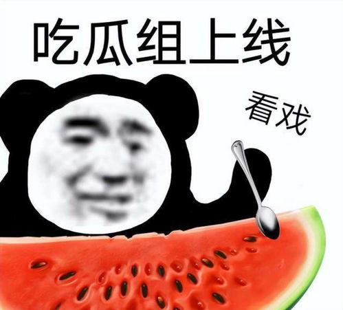 娱乐吃瓜酱的作品真诚才是必杀计