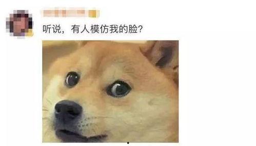 微信吃瓜表情包是什么意思呢,网络社交中的趣味解读