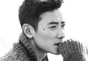 娱乐吃瓜酱罗晋,娱乐圈的“吃瓜酱”，揭秘明星幕后故事