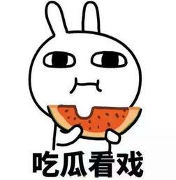 娱乐吃瓜酱受委屈小说,委屈背后的甜蜜瓜田