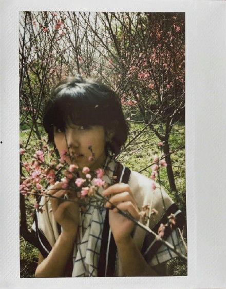 娱乐圈吃瓜爆料张新成,揭秘背后的真相与争议